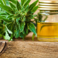 Is cbd addictive world health organization?