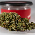 CBD Vs. Mamba #8 Flower In NYC: What You Need To Know?