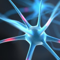 How cbd affects the brain?