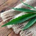 Why is cbd oil more expensive than gummies?