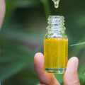 How does cbd help you mentally?