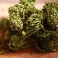 What are the true benefits of cbd?