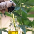 Will cbd help panic attacks?