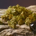 What Is CBD And Where Does It Come From