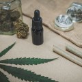 Navigating The CBD Landscape: Exploring Canabzy's Offerings