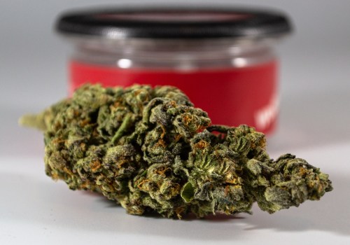 CBD Vs. Mamba #8 Flower In NYC: What You Need To Know?