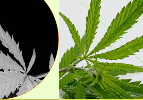 Is cbd medically approved?