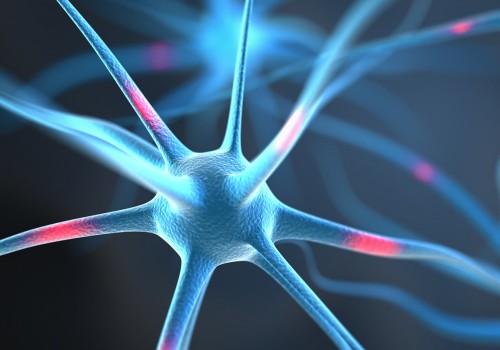 How cbd affects the brain?